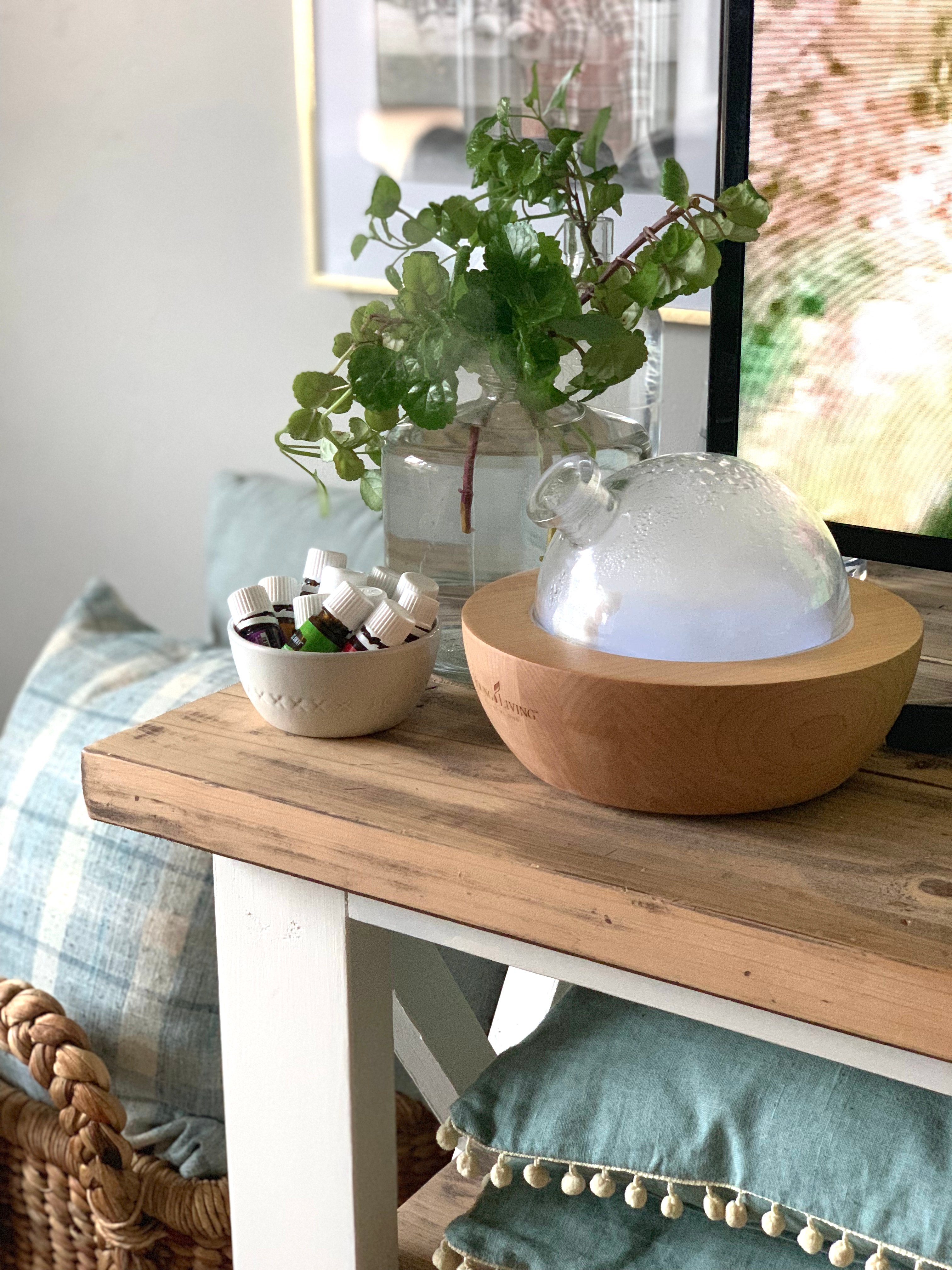 Class jar with rootless plant clippings with a humidifier and essential oils next to it on a desk.