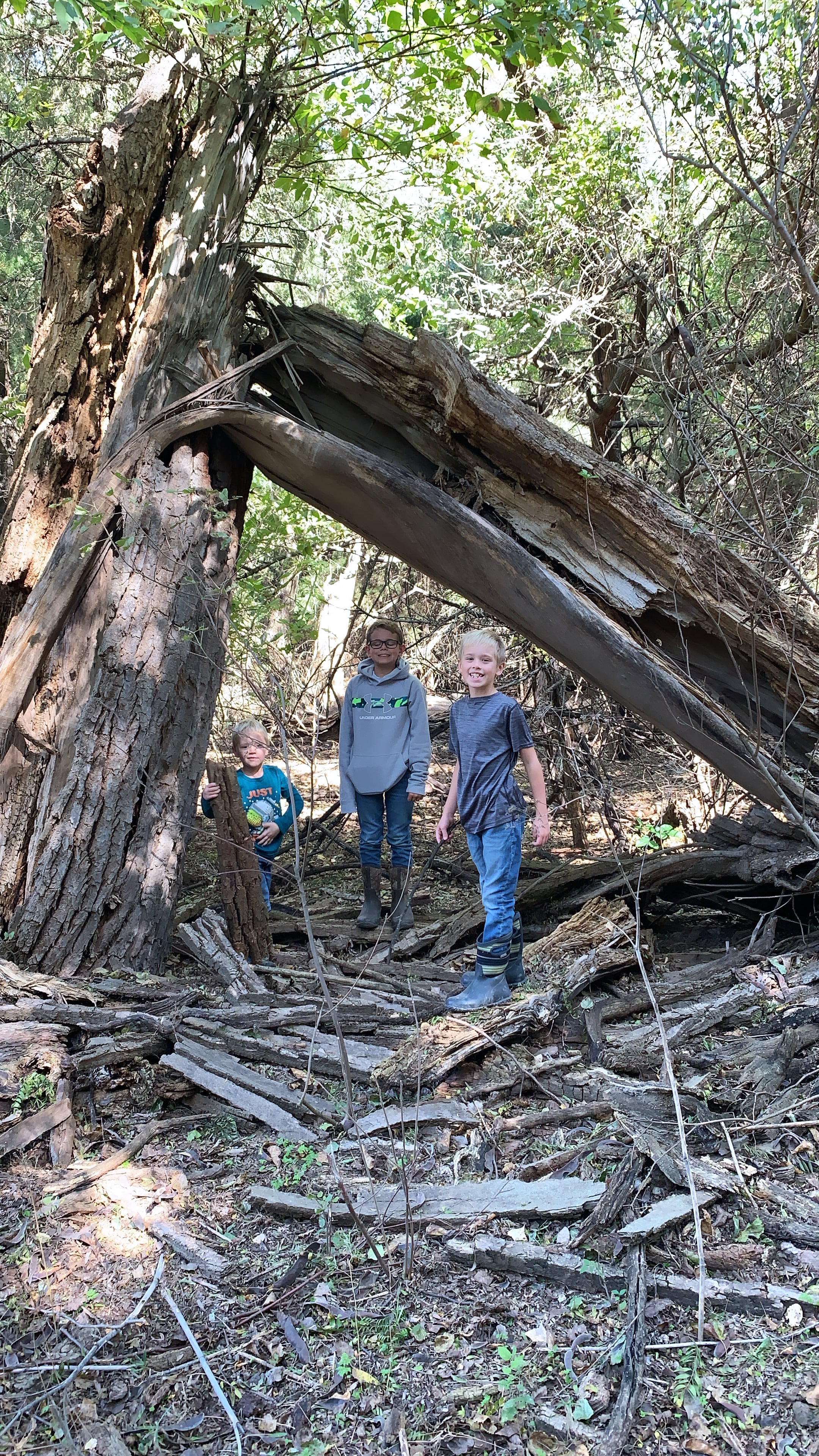 two little boys foraging under a fallen tree for mushrooms