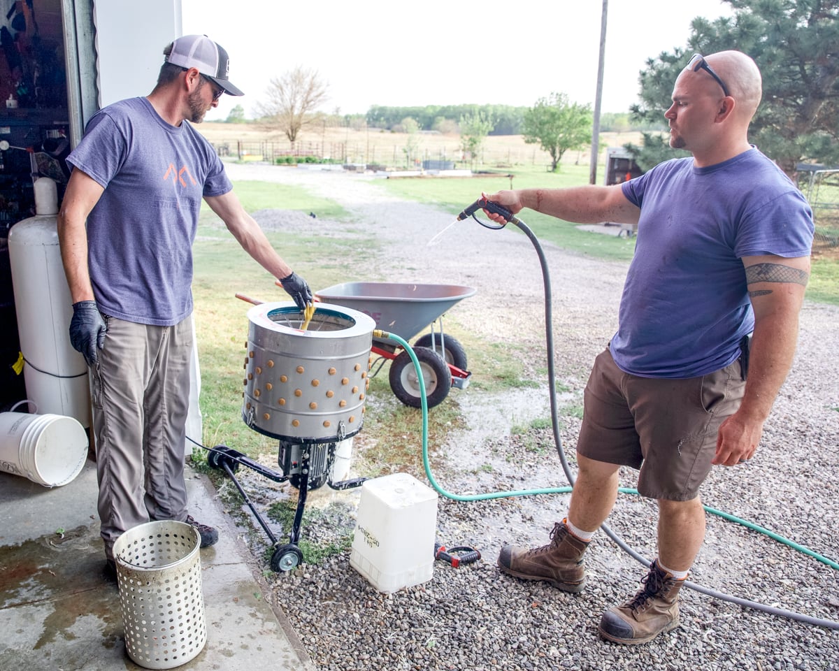 Rinsing the Yardbird plucker between birds keeps feathers from building up and speeds up processing day.