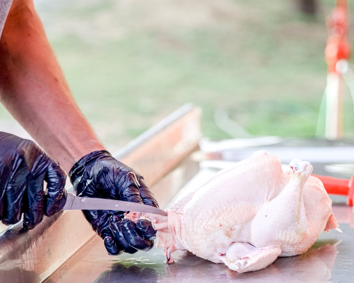 Removing the neck from a chicken carcass during processing.