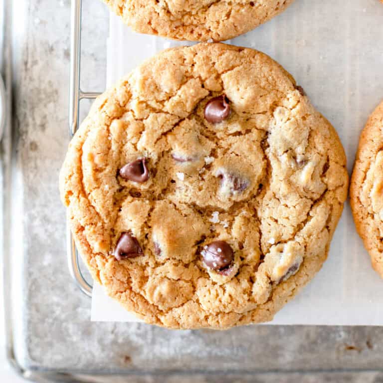 A close up image of a sourdough chocolate chip cookie that shows the glossy semi sweet chocolate glistening with a melted fresh-from-the-oven glow and a sprinkle of French salt.