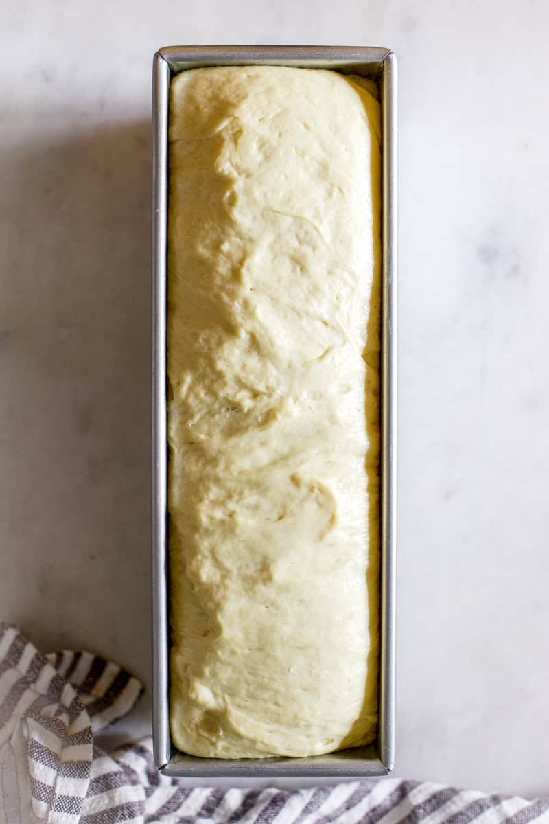 An unbaked large loaf of bread in a Pullman style pan rising before being baked.