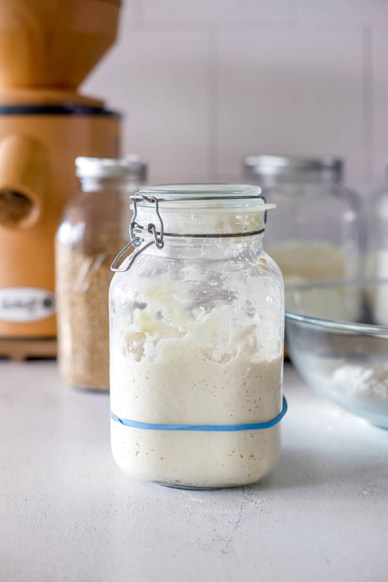 A fed sourdough starter that is active and has risen in the glass storage jar.