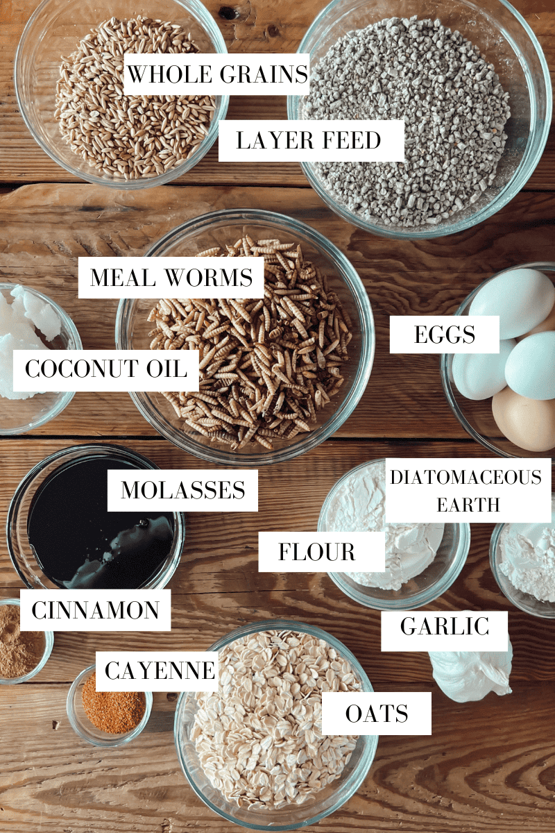 Glass prep bowls filled with the ingredients for baking a chicken flock block including meal worms, oats, whole grains, molasses, etc.