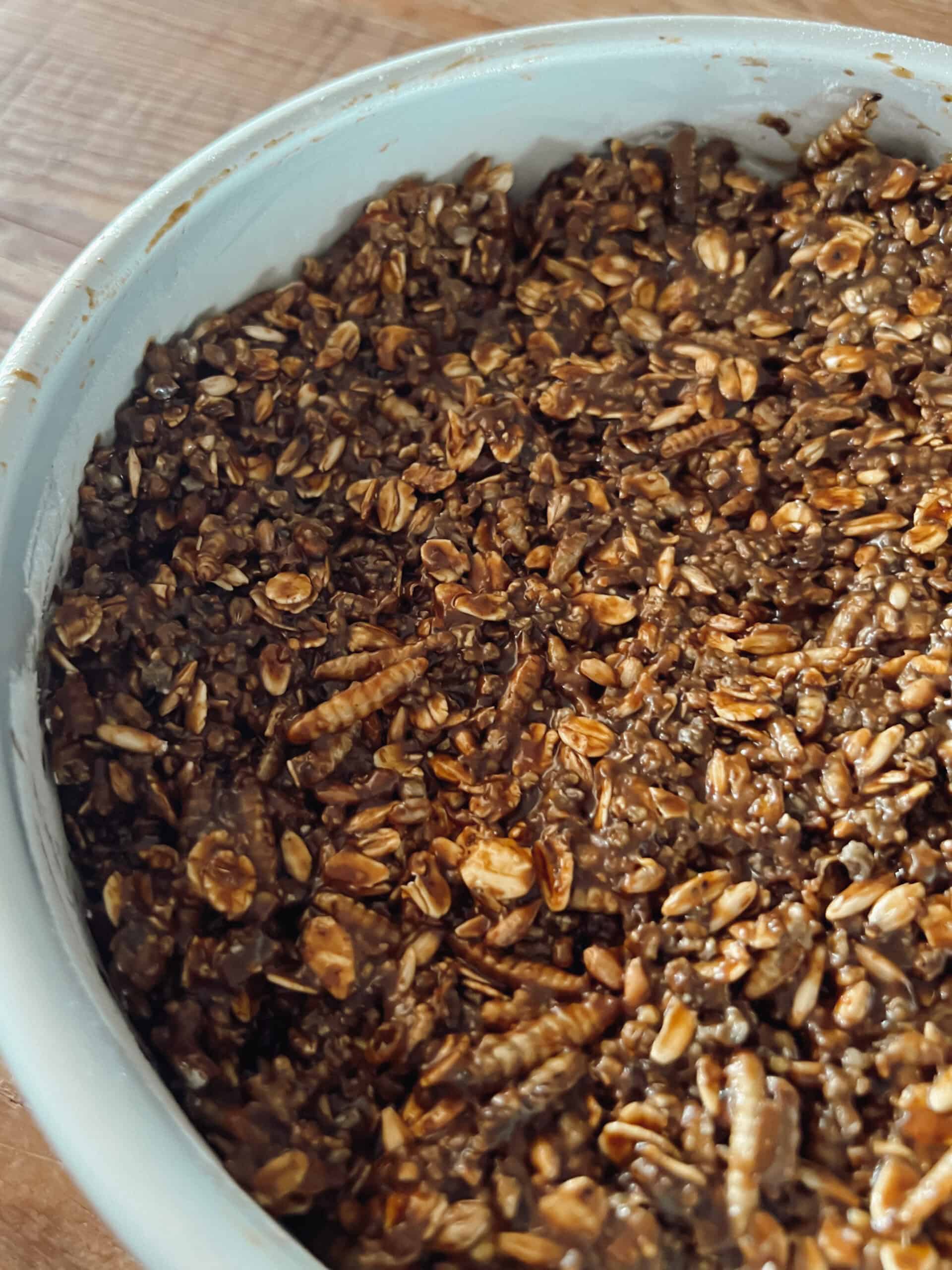 A close-up view of a chicken flock block showing the grains and mealworms in the block.