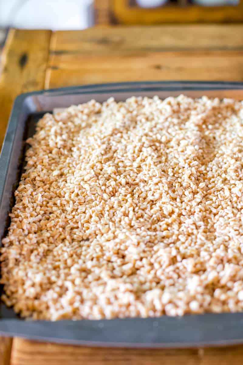 Cooked farro spread on a baking sheet to cool, step one of making a simple farro salad with lemon and cucumber.
