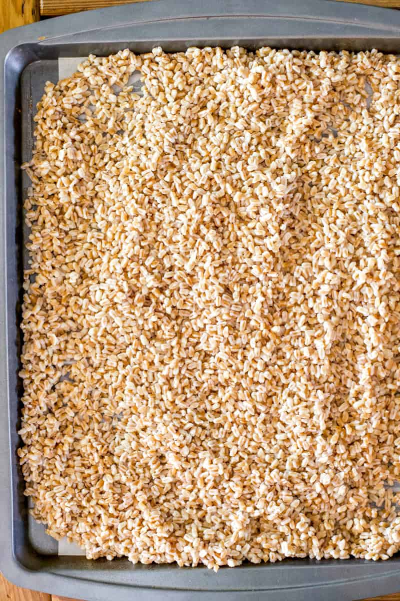 Step three for cooking farro, cooling the grains on a baking sheet to stop the cooking process.