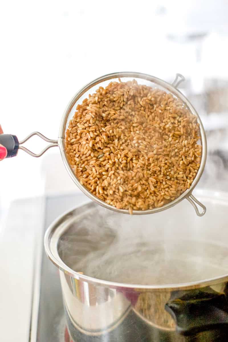 step two of cooking farro: bring a pot of water to a boil and add the rinsed grains. This is an image of pouring rinsed grains into a pot of boiling water.