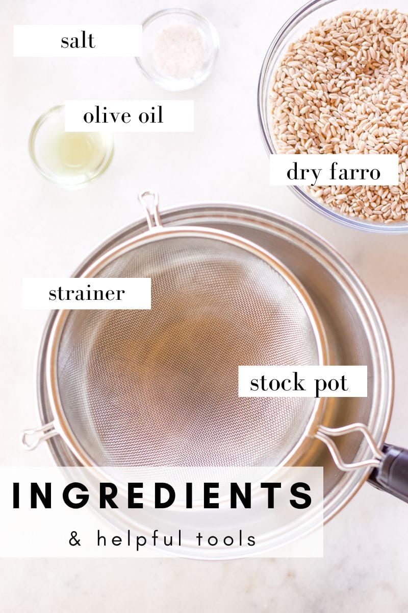 A flat lay view of the tools and ingredients needed for cooking farro: a sieve, pot, dried farro, salt and olive oil.