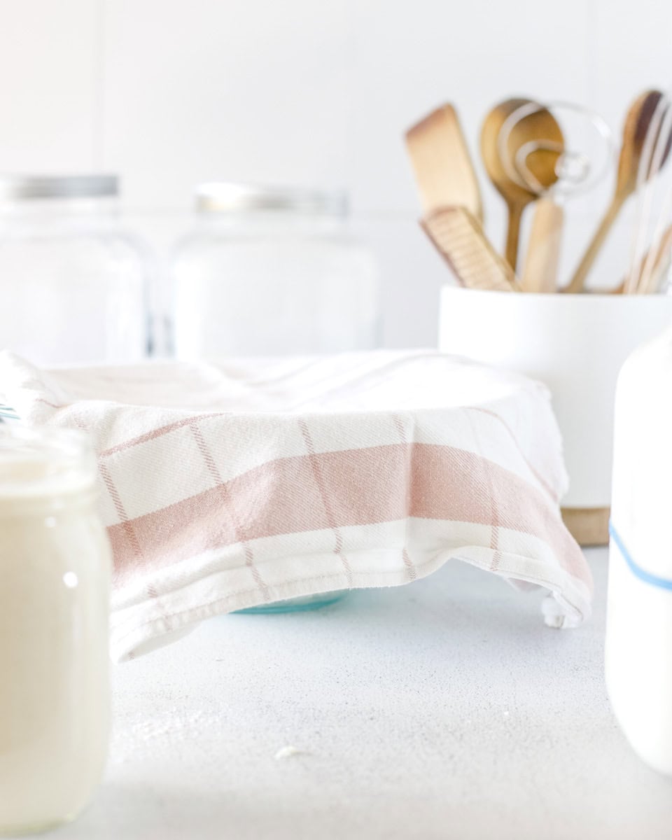 Step two of making sourdough English muffins, cover the dough and let it rise.