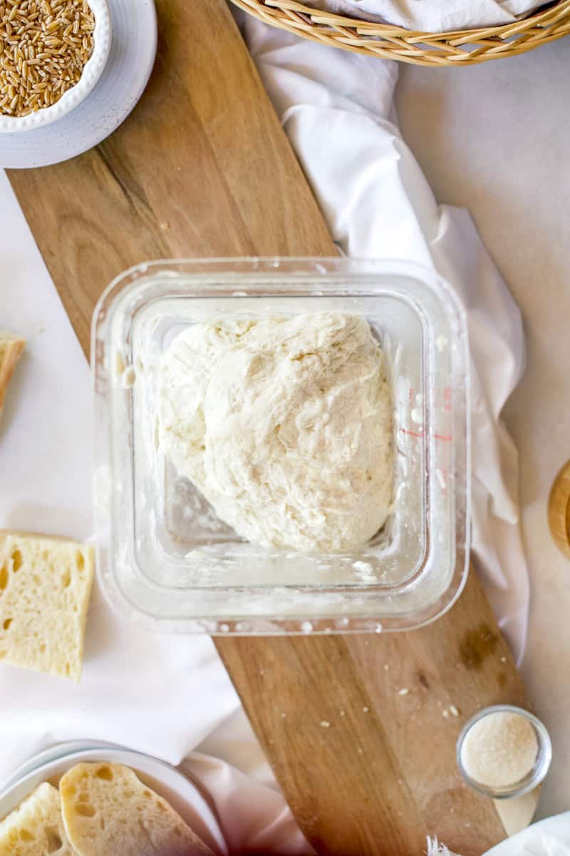 Step 4 of making a sourdough baguette is bulk fermenting the dough in a square sided plastic container until it doubles.