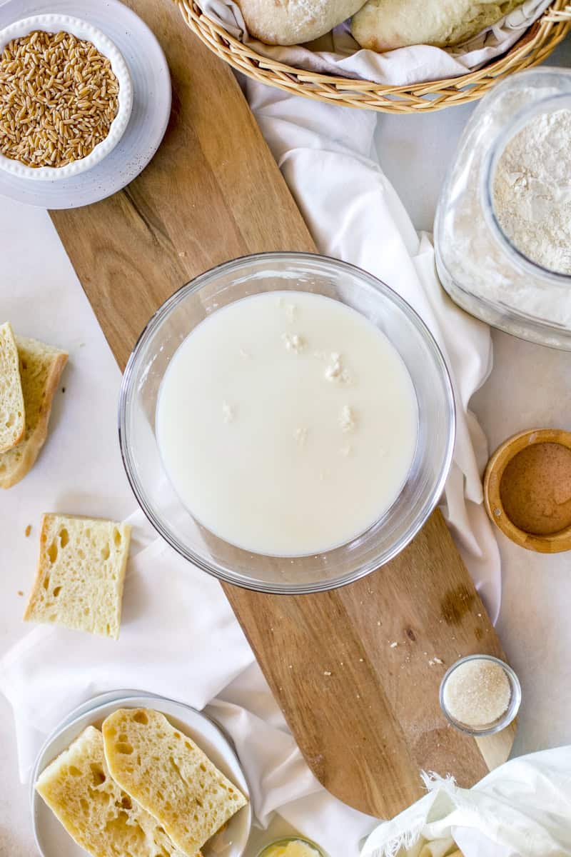Photo of step one for making 5 ingredient sourdough baguettes is mixing the sourdough starter into the warmed water in a mixing bowl.