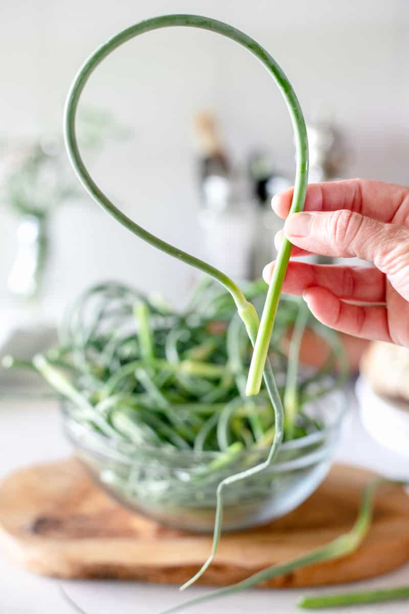 A woman's hand holding a curly garlic scape with a bowl of cut scapes in the background.