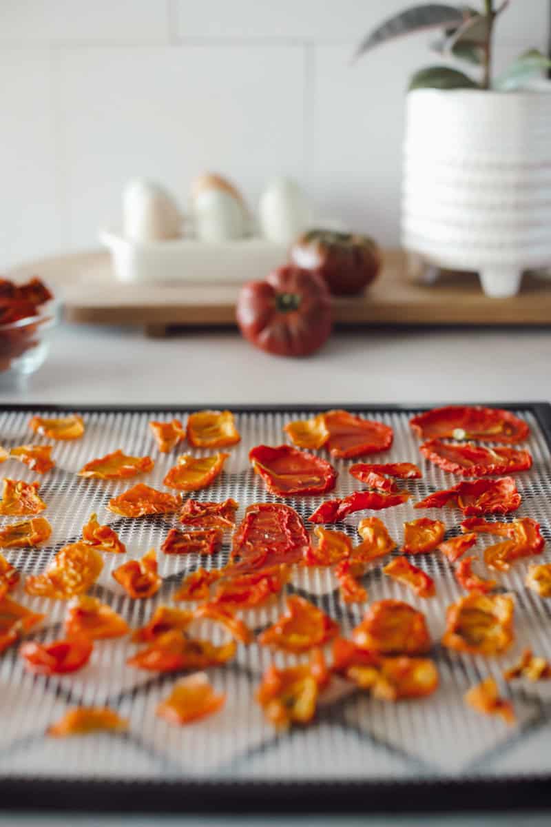 Heirloom tomatoes sliced thinly and laid on a dehydrator tray.