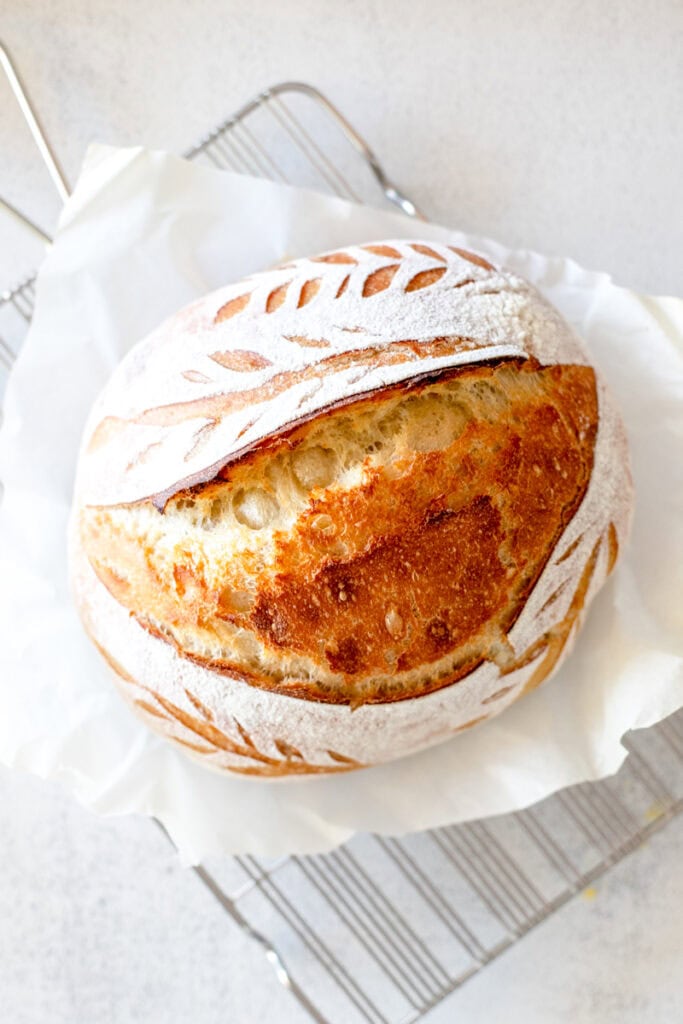Rustic Sourdough Batard - Ninnescah Made