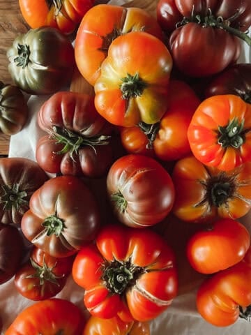 Heirloom tomatoes ranging in color from deep purple to bright red on a tea towel and wooden table top.
