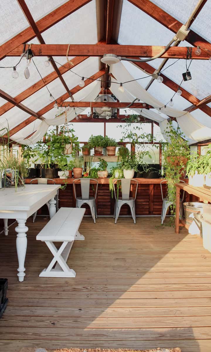 A Yoderbilt greenhouse during summer with grow bags of peppers and tomatoes along the back wall bench.