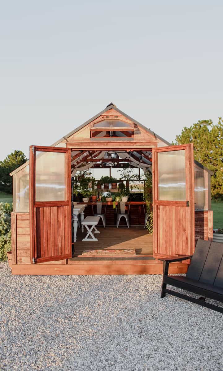 A yoderbilt greenhouse at Ninnescah Homestead with the double doors open and the sun shining with blue skies.