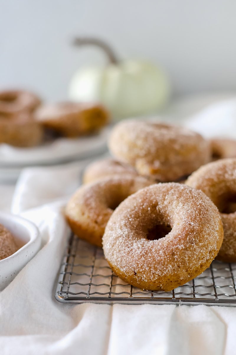 A close up picture of the cinnamon and sugar coating on a baked pumpkin donut.