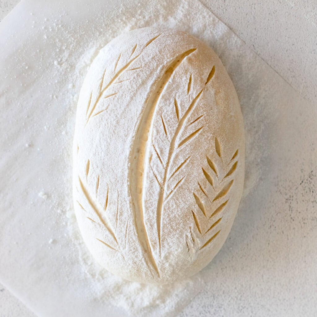 A picture of a sourdough loaf that has been scored with a leaf pattern and is ready to be baked.