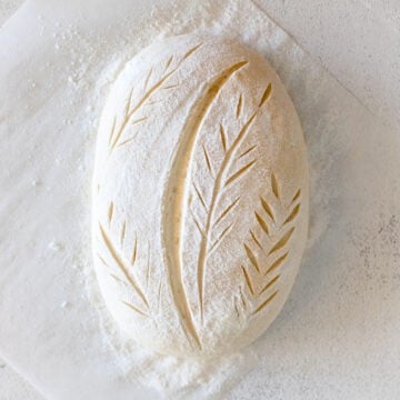 A picture of a sourdough loaf that has been scored with a leaf pattern and is ready to be baked.