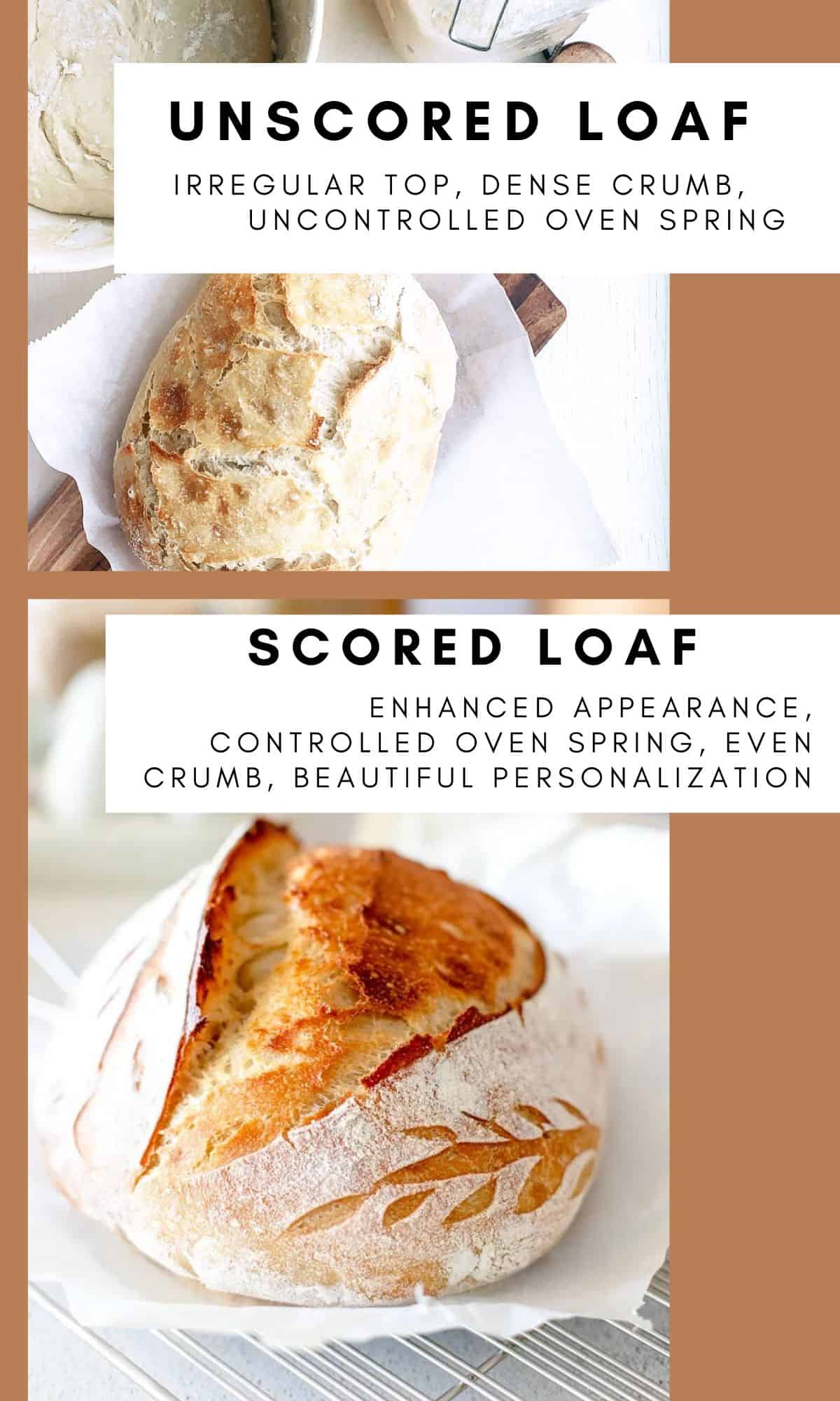 A graphic showing the difference between sourdough that has been scored compared to a loaf that is scored.