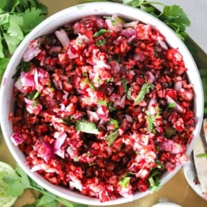 A close up view of a perfect holiday appetizer spicy cranberry salsa in a white bowl.