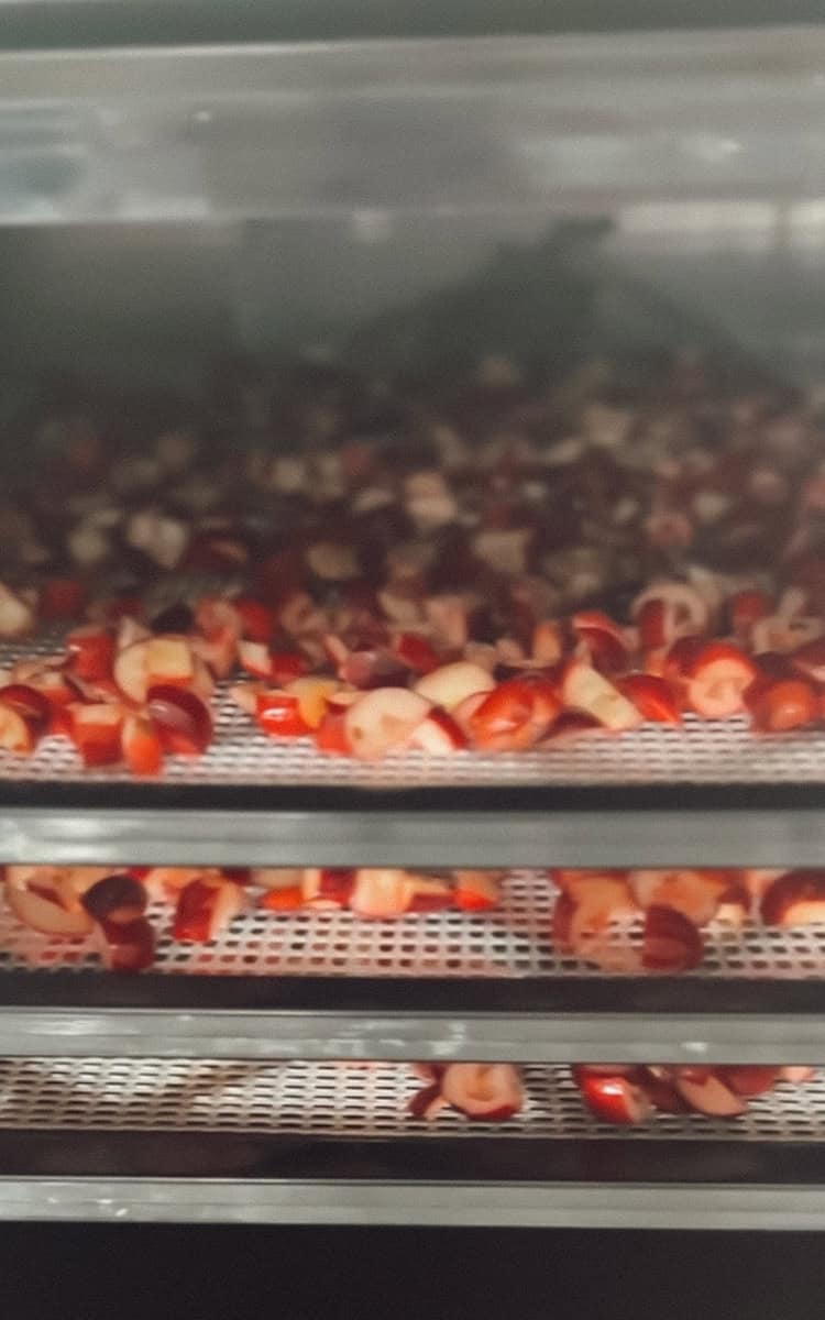 Excalibur 3900 filled with cranberries.