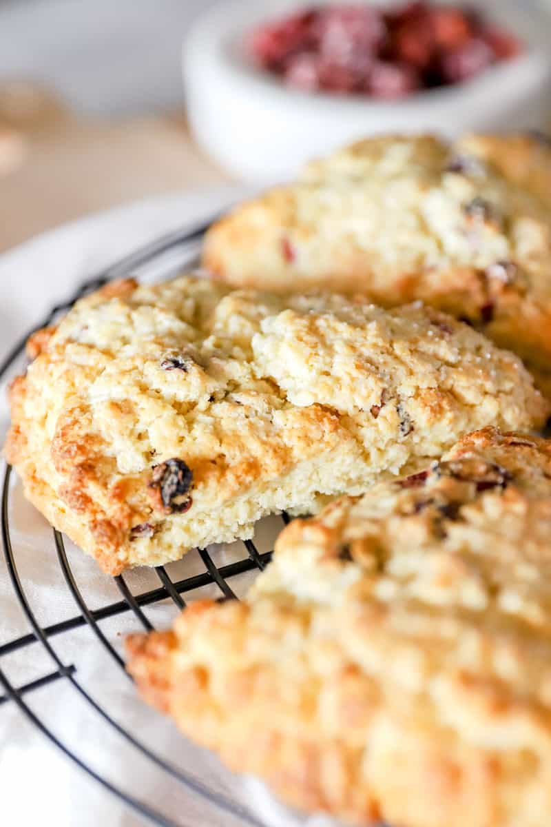 A close up image of a cranberry orange sourdough scone showing the detail of the crumb.