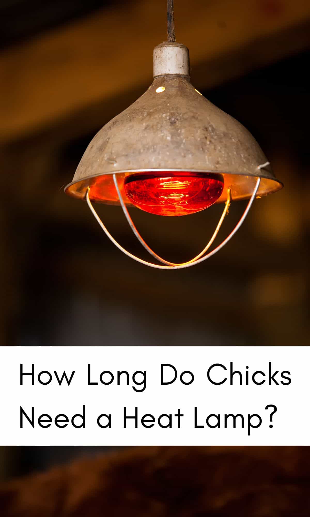 A picture of a heat lamp with a red light bulb.