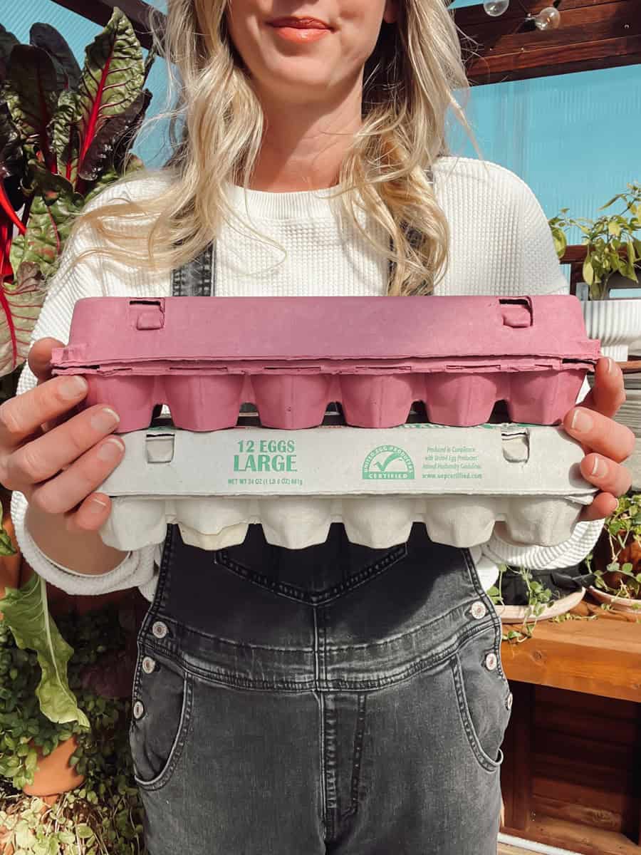 Meg from Ninnescah Homestead holding two egg cartons that she is about to show you how to compost egg cartons.