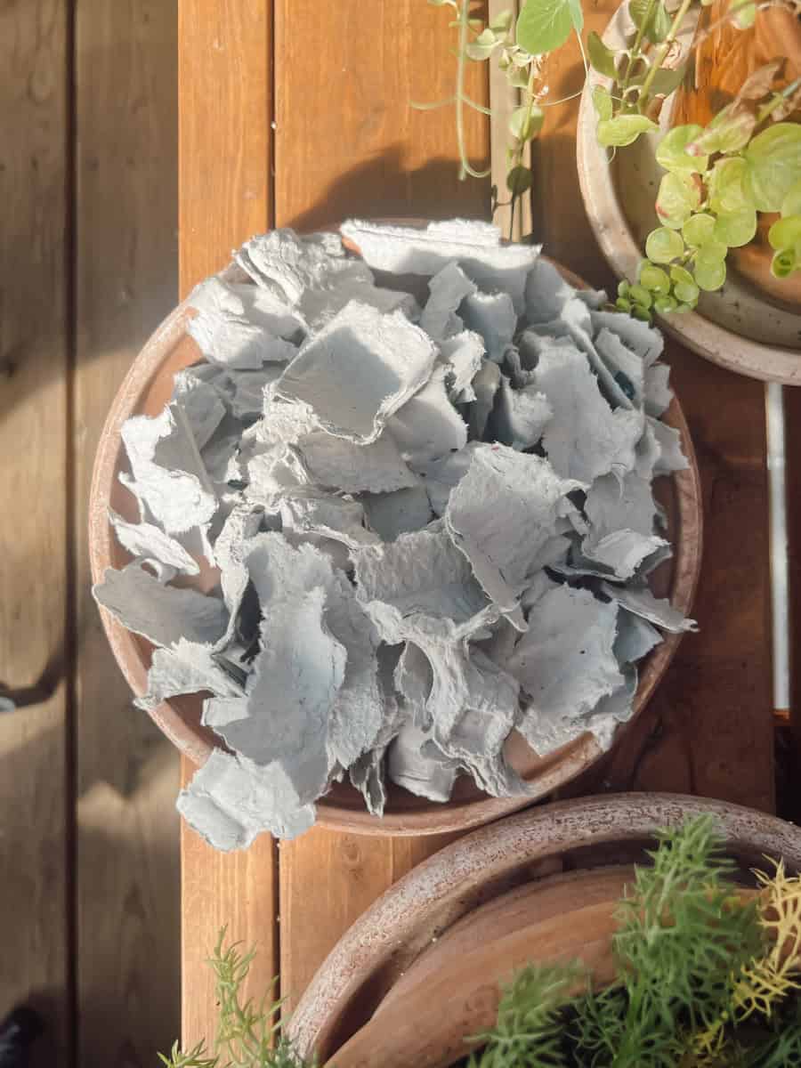 Can you compost egg cartons, yes, first tear them into small pieces.