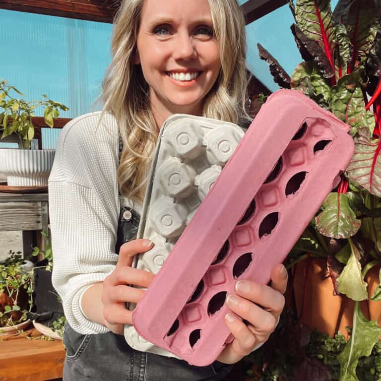 Meg holding two egg cartons answering the question can you compost egg cartons, yes!