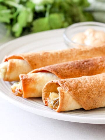 A trio of three Air Fryer Chicken Taquitos on a white plate garnished with cilantro.