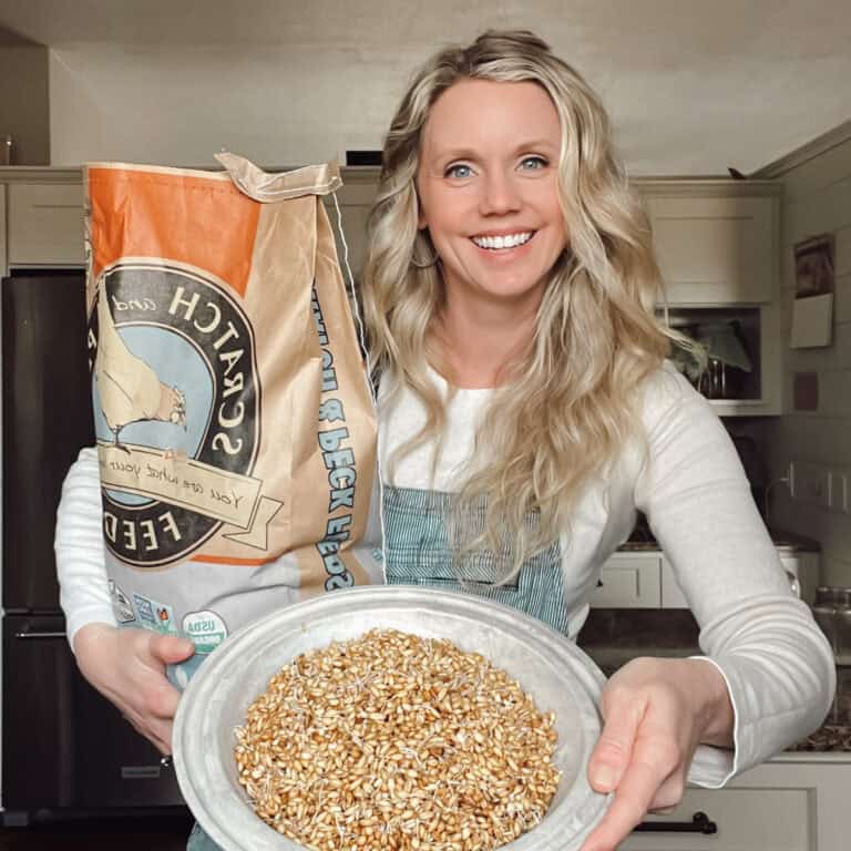 Meg from Ninnescah Homestead holding sprouted chicken grain in a pan.
