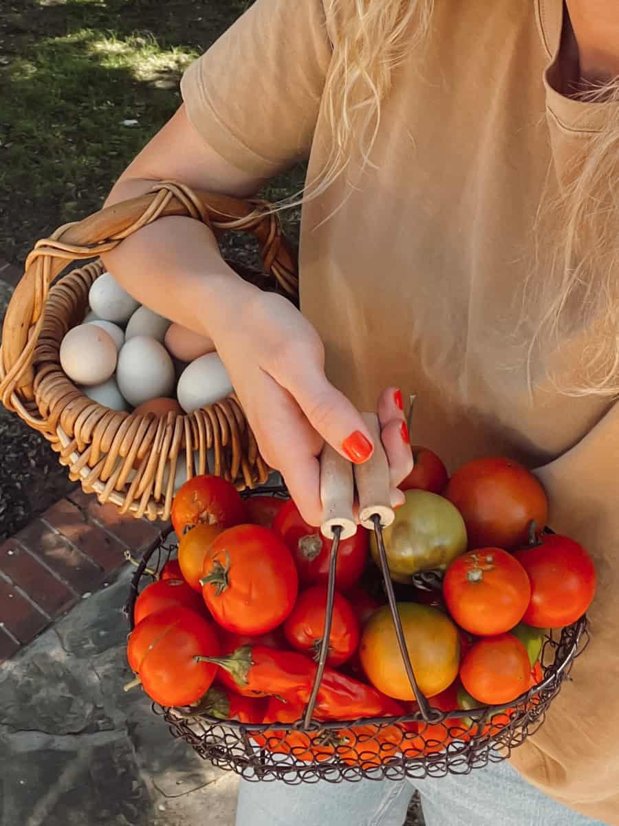 A basket of tomatoes and a basket of eggs, looped over the gardener's arm.