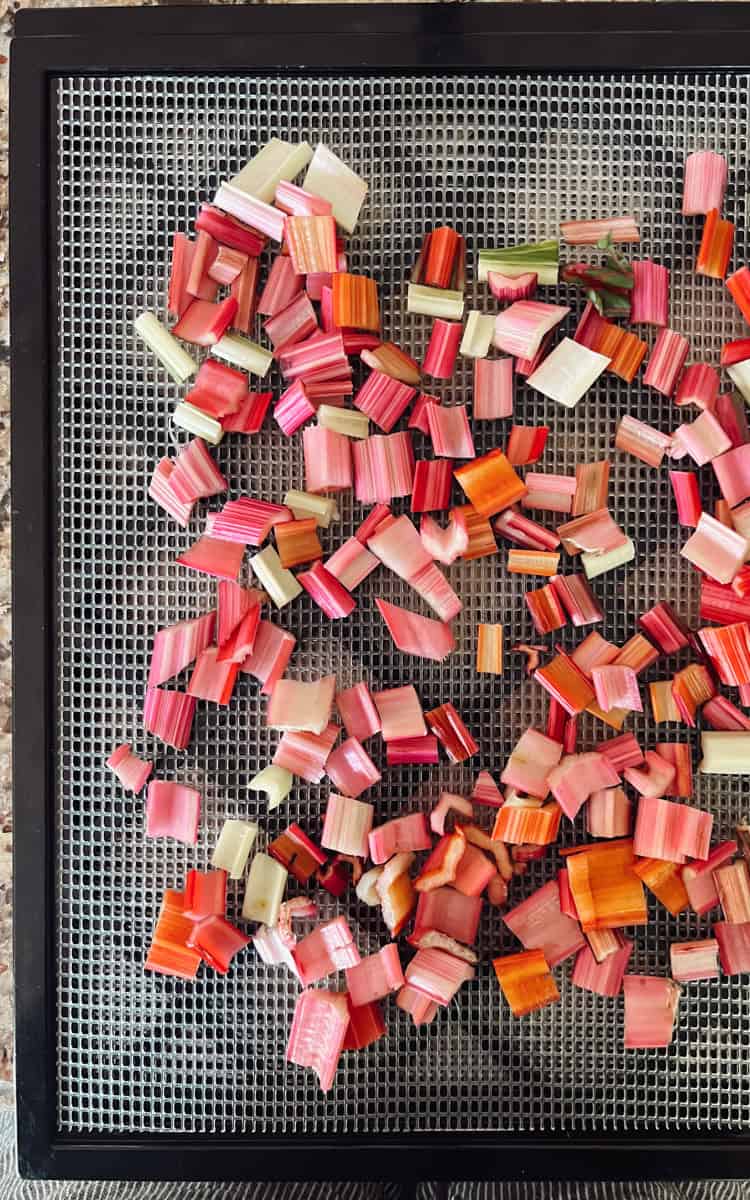 Chopped swiss chard on a food dehydrator tray before being preserved.