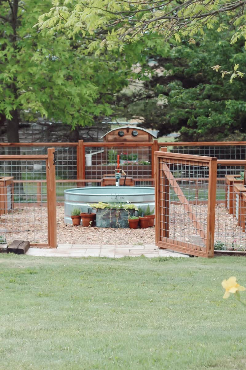 A DIY stock tank pool in zone 6B raised bed garden with perimeter fence and chicken coop.