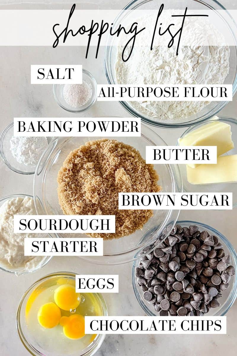 Ingredients for sourdough blondies, top view, in prep bowls, labeled.