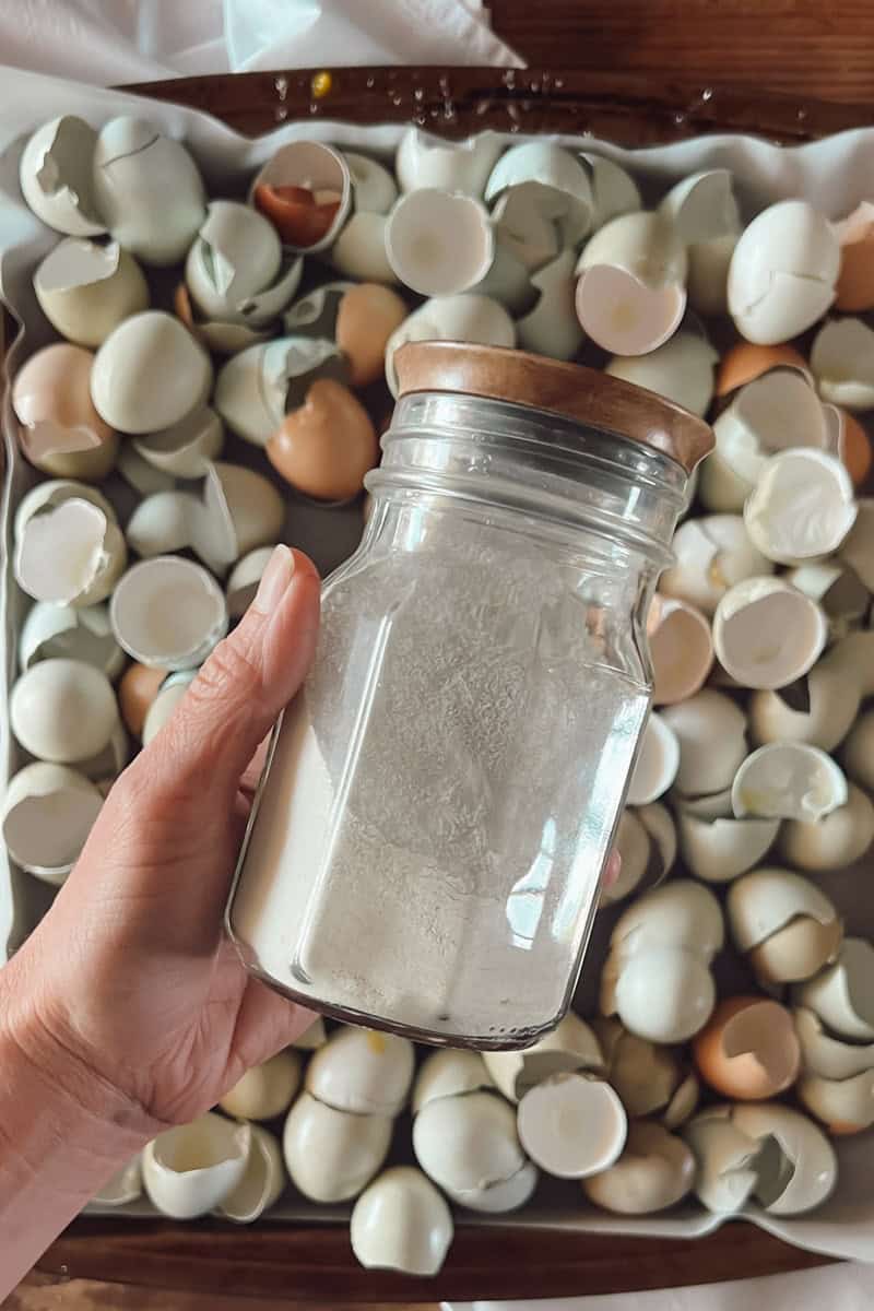 A hand holding a jar of crushed and powdered egg shells for the garden.