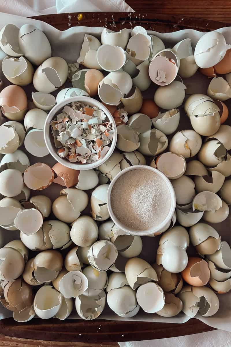 A photo comparing a bowl of egg shells that are crushed verses egg shells that are ground into powder.
