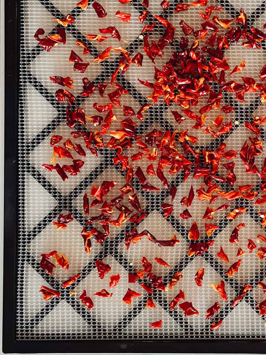 Dehydrated peppers on a tray.