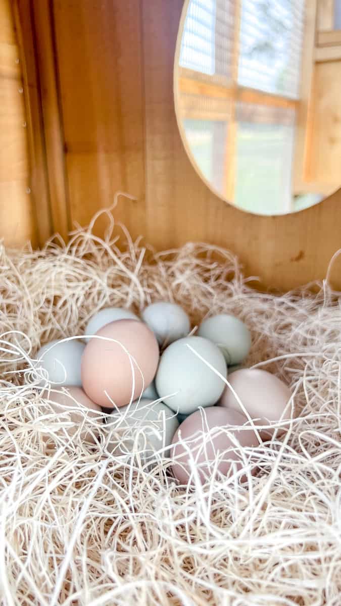 A nest of eggs on a soft aspen nesting pad.
