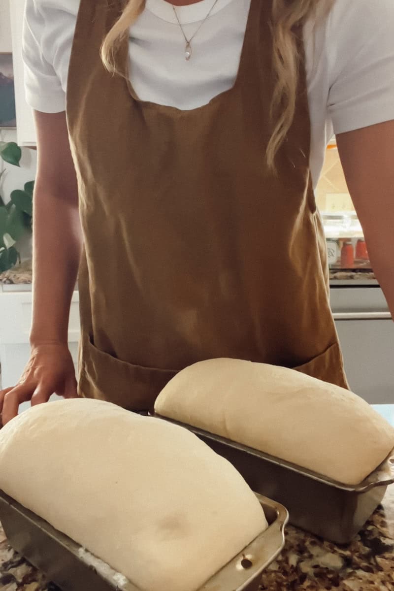 step 5 Shape the loaf (or loaves) and place them in the pans. 