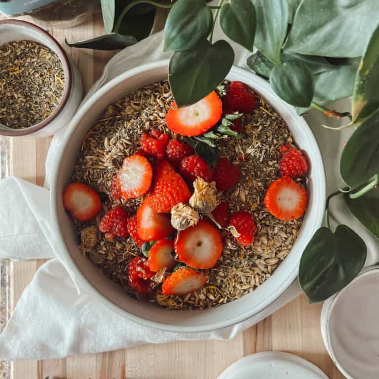 A top view of a bowl filled with edible herbs for chickens and garnished with strawberry tops.