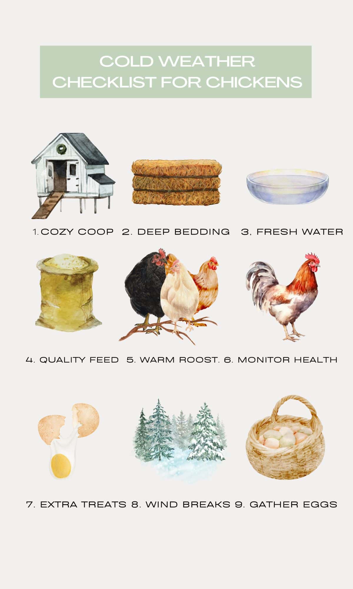An infographic that shows a Cold Weather Checklist for Chickens with pictures and labels.