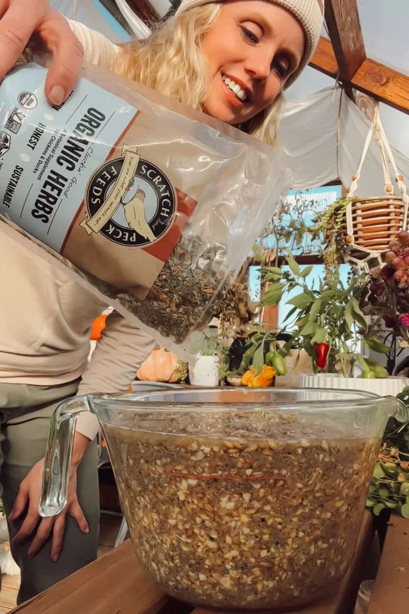 Pouring premixed herbs over chicken layer mash.