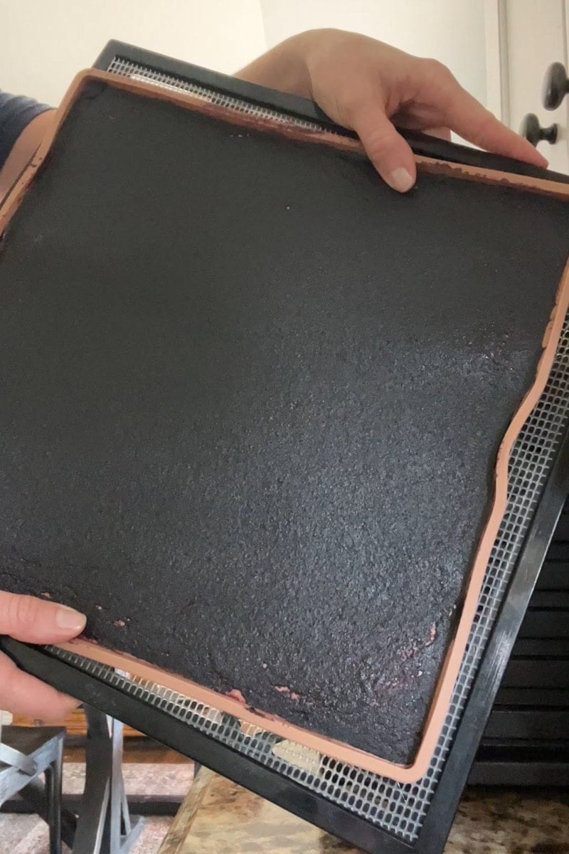 A detailed picture of a dehydrator tray lined with a silicon mat with a dehydrated fruit leather sheet.
