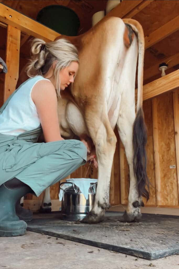 Megan Austin of Ninnescah Homestead milking her cow by hand.