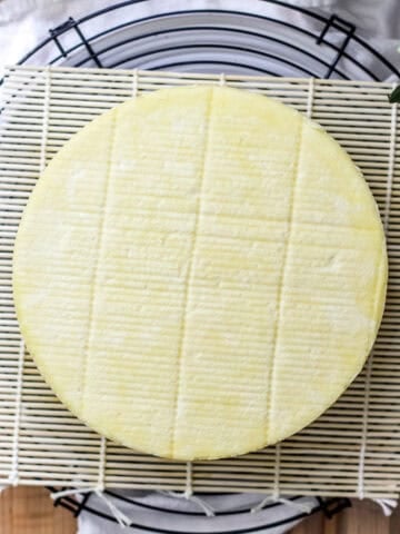 A top view of homemade cheddar cheese.